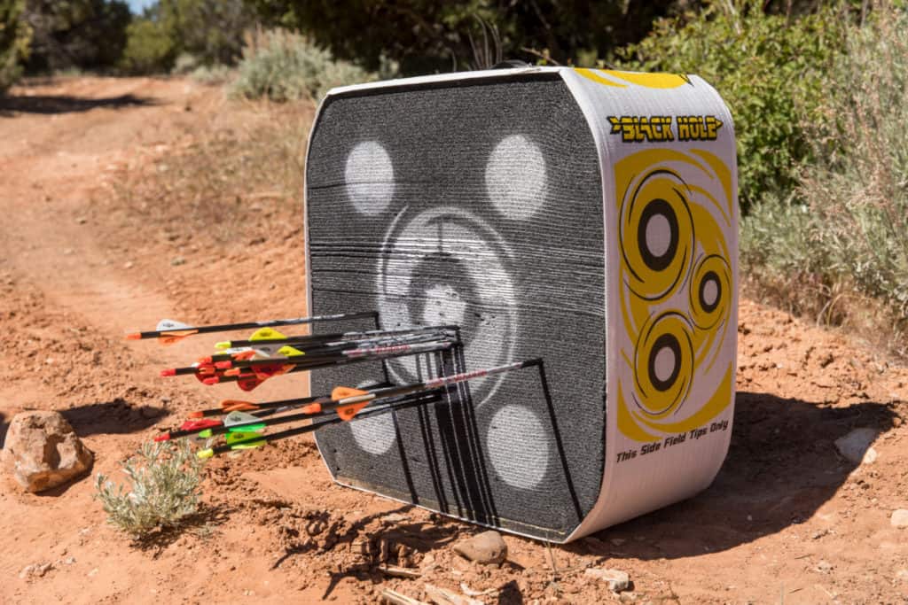 Arrows in a foam target